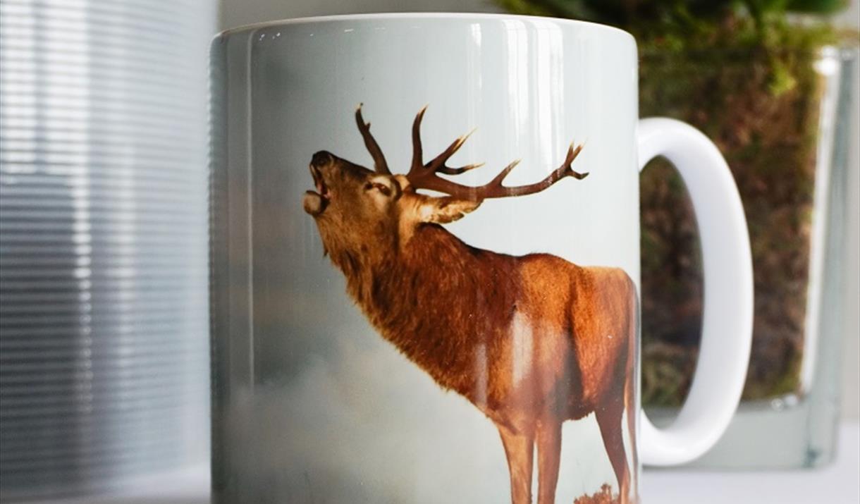 MacGillivrays Gift Shop stag mug