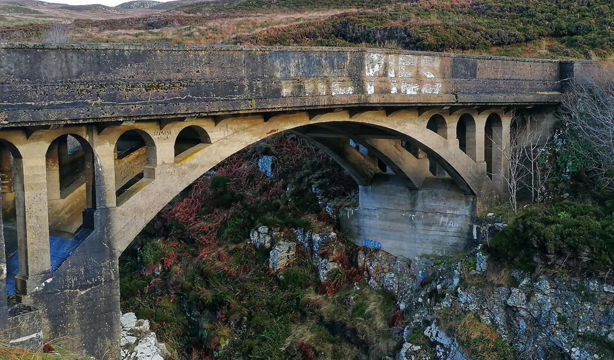 Bridge to Nowhere, Tolsta