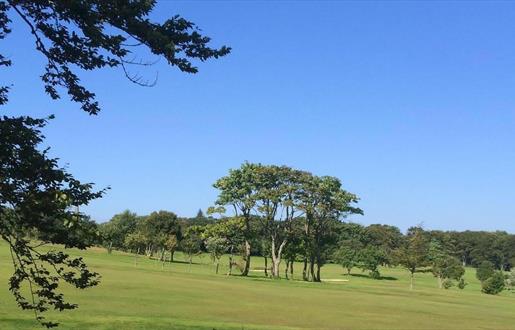 Stornoway Golf course green with trees