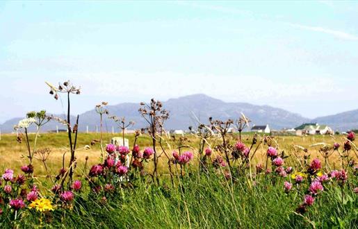 Beach and Machair at Kilpheder