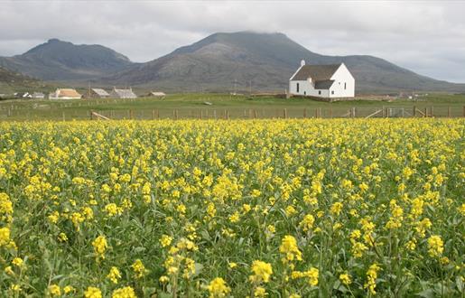 Howmore Machair