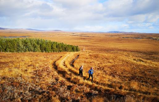 North Uist: Langass Woods runners