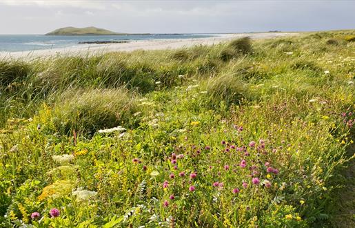 Garrynamonie Machair & Beach