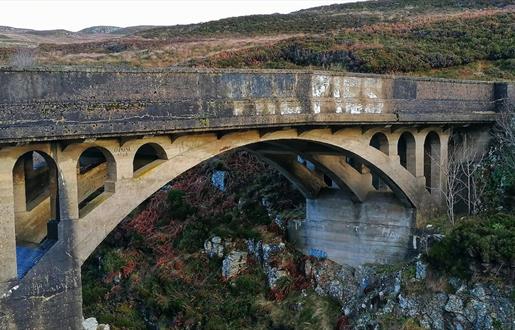 Bridge to Nowhere, Tolsta