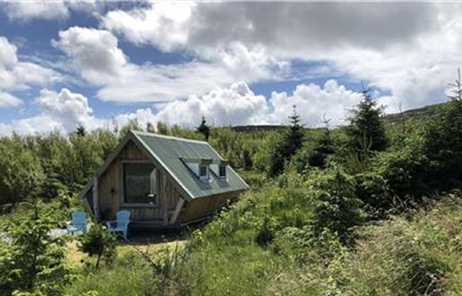 Puffin and Peregrine Tiny-House's