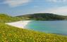 Eriskay Shop machair flowers