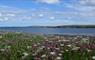 Bragar machair coastline