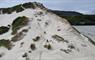 crofters sand dunes