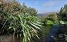 Kelp Cottage garden