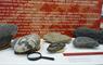 Old Lochmaddy School display of rocks