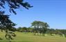 Stornoway Golf Club with trees