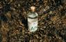 Stornoway Distillers gin bottle on seaweed