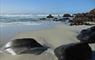 Eat Drink Hebrides - Taigh Chearsabhagh Cafe beach