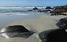 Eat Drink Hebrides - Taigh Chearsabhagh Cafe beach