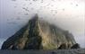 Gannets over Boreray