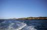 Coast on Ronay and South Uist on a wildlife trip