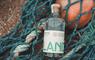 Stornoway Distillers gin bottle in fishing net