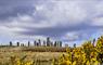 Lewis and Harris Guided Tours Callanish Stones