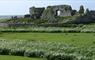 Eat Drink Hebrides - Taigh Chearsabhagh Cafe ancient tuins