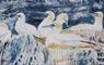 Holmasaig Studio Gallery gannets