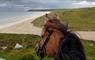 Traigh Mhor Pony Trekking horse looking down to the beach