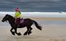 Traigh Mhor Pony Trekking horse riding on beach