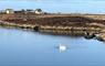 Riverside Cottage swan