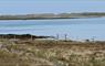 The Tidal Dwelling loch view