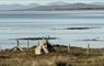 The Tidal Dwelling seal sculpture on a rock with a view