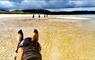 Traigh Mhor Pony Trekking horse riding on the sand
