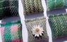 PQA Crafts squares