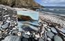 painting on beach