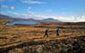 North Uist: Langass runners