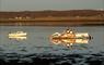 The seaweed cutting boats moored in Linsiadar