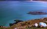 McKinlay Kidd Ltd sheep beside the sea