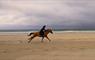 Traigh Mhor Pony Trekking horse riding on the sand