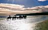 Traigh Mhor Pony Trekking group of horse riders on beach