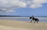 Traigh Mhor Pony Trekking horse riding on the beach