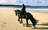 Traigh Mhor Pony Trekking horse riding on beach