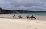 Traigh Mhor Pony Trekking horse riding on the beach