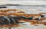 Damian Callan Open Artist's Studio - Seaweed, Low Tide