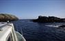 Lady Anne Wildlife Cruises