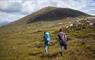 Harris: walkers on a hill