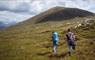 Harris: walkers on a hill
