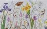 Holmasaig Studio Gallery wild flowers