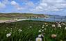 Lewis Longhouse machair & beach