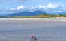 Grenitote Pod walking on beach