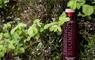 Eat Drink Hebrides - North Uist Distillery red gin bottle on herbs