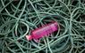 Eat Drink Hebrides - North Uist Distillery Downpour Pink Grapefruit Gin, on a tangle of green ropes