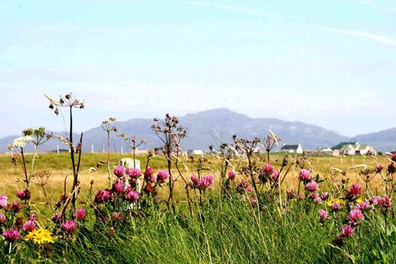 Beach and Machair at Kilpheder